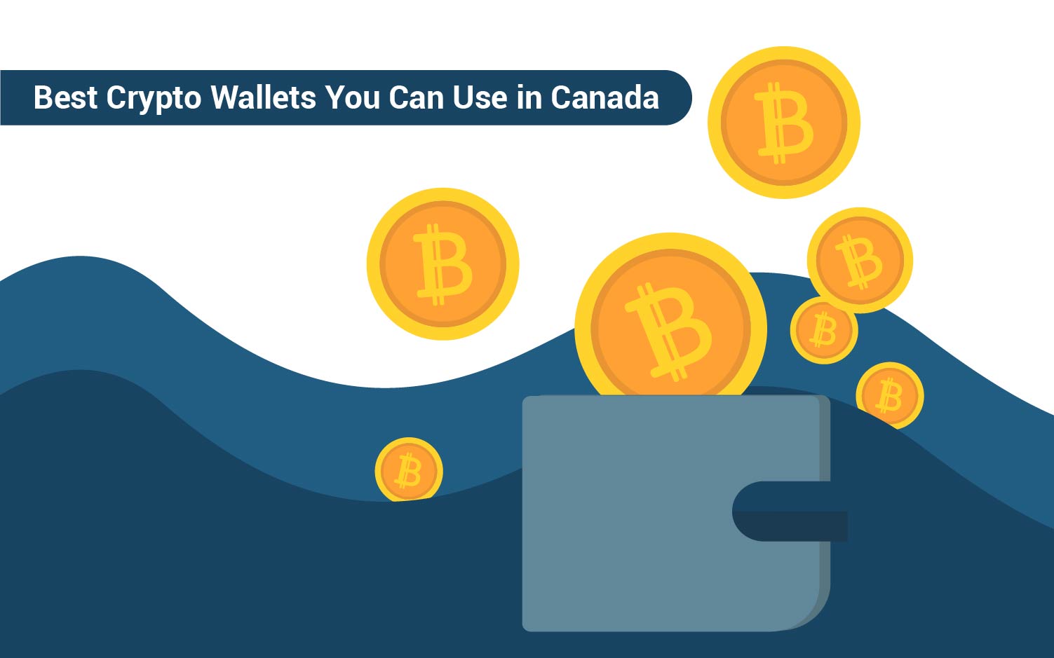 best crypto wallets in canada